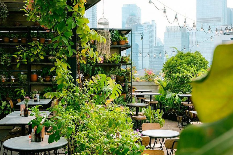 Cobain Asyiknya Nongkrong di Kafe Rooftop MBtech